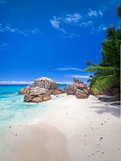 Seychelles Essencial